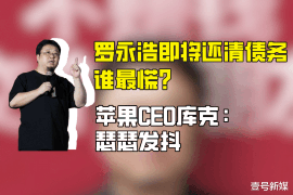 蒙阴要账公司更多成功案例详情